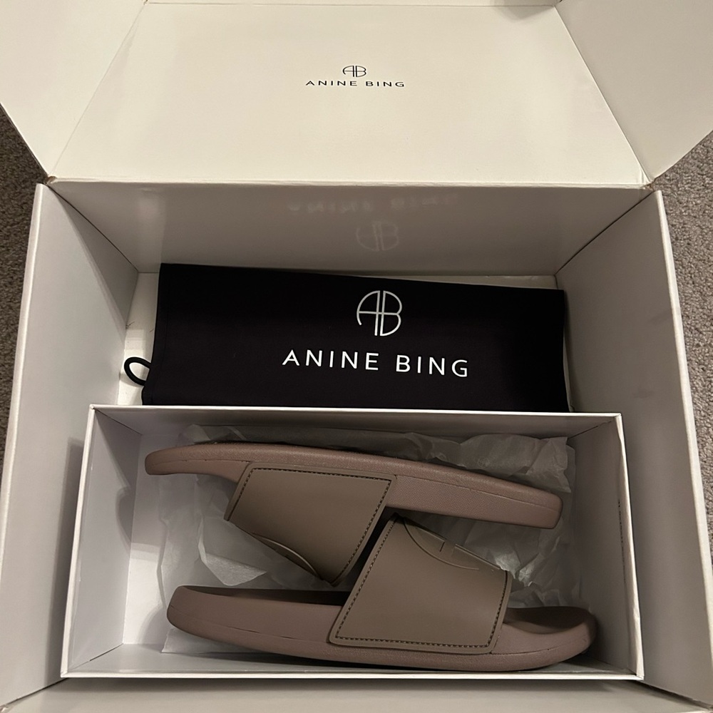 Anine Bing Isla Slides